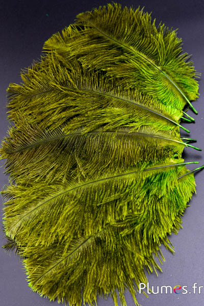 Autruche - 13-18 cm - lime-gris